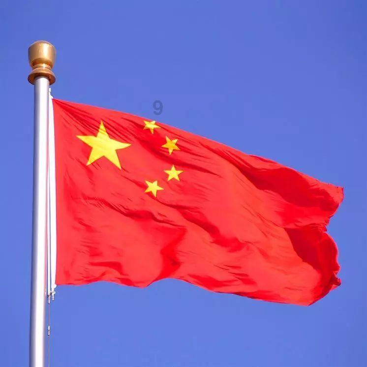 浙江省作家协会副主席沈苇：对浙江文学有何期待